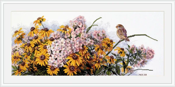 Rudbekie i floksy